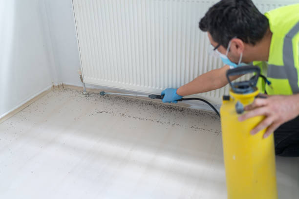Best Bed Bug Extermination  in Collegeville, PA