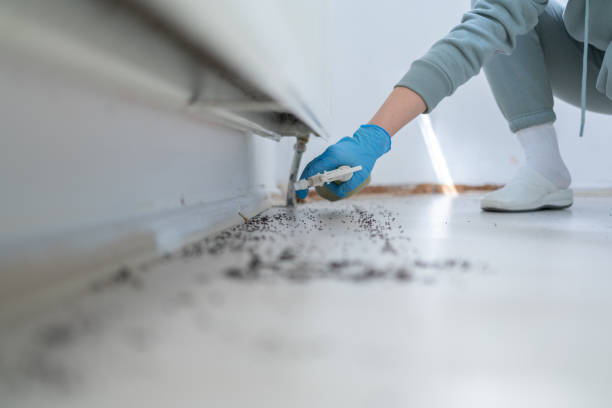 Best Spider Control Near Me  in Collegeville, PA
